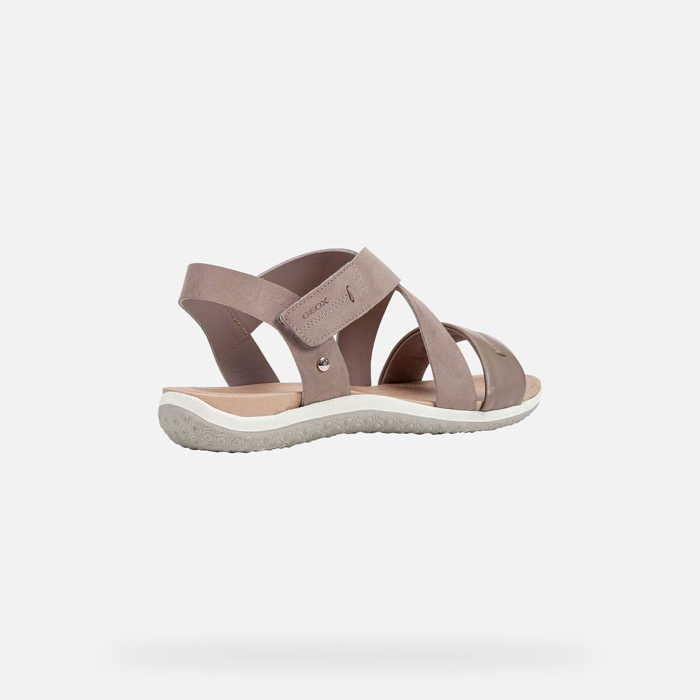 Geox Sandals Beige Vega - Geox Womens Shoes - WEZNRF739